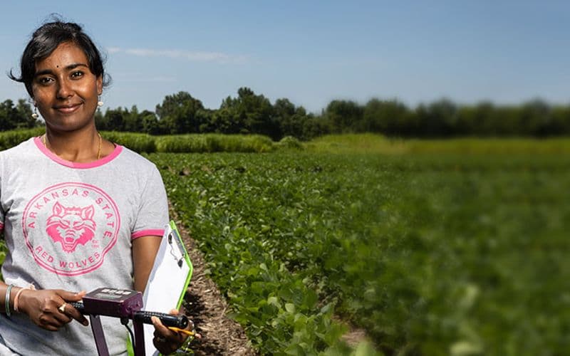 Studying Agriculture at Arkansas State University, USA – The Top Choice for Students Passionate About Nature