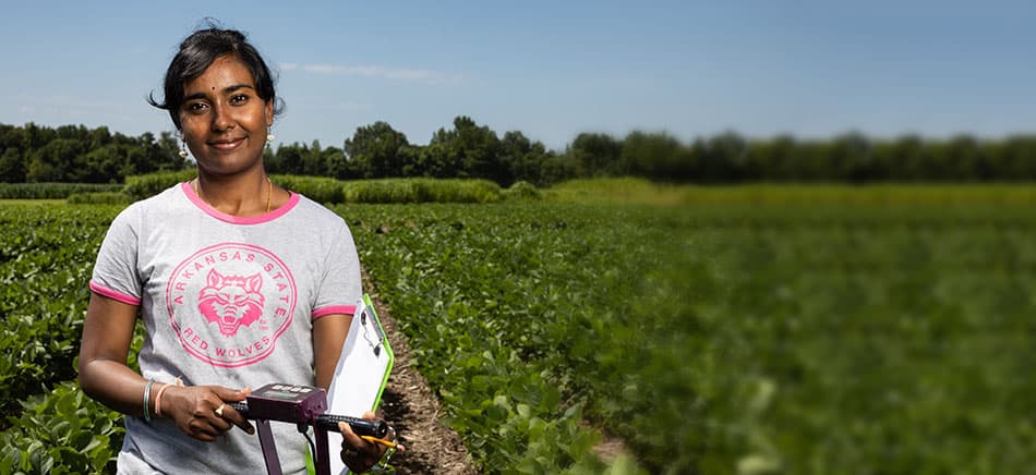 Studying Agriculture at Arkansas State University, USA – The Top Choice for Students Passionate About Nature