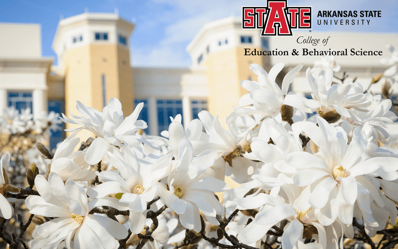 Study Sport Management in the US