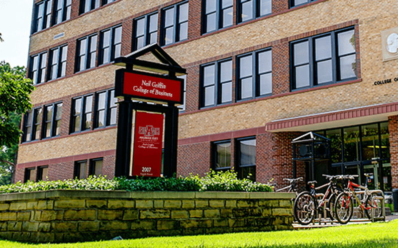 Studying Information Systems and Business Analytics (ISBA) Abroad – A Top Choice