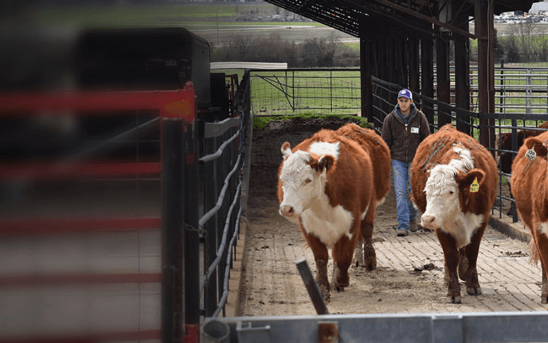 Study in the USA at Arkansas State University: Precision Agriculture and GIS Program (BSA)