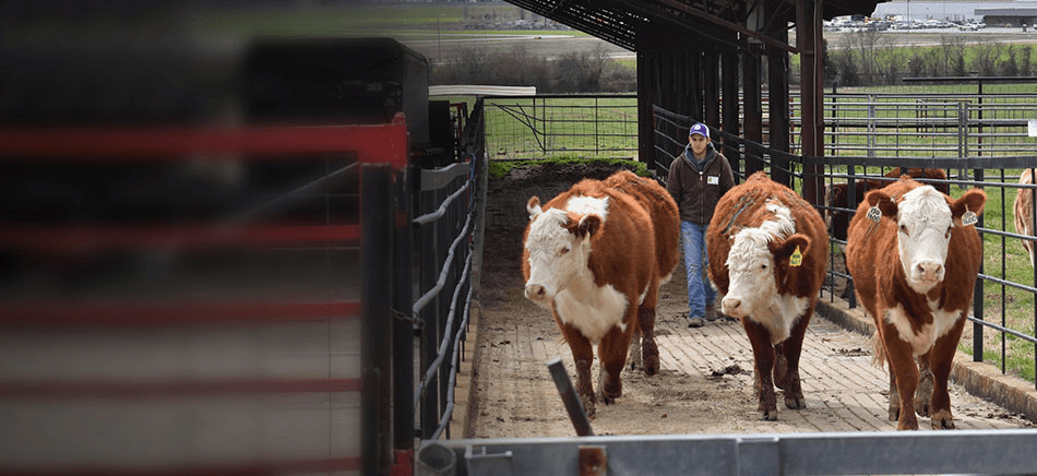 Study in the USA at Arkansas State University: Precision Agriculture and GIS Program (BSA)