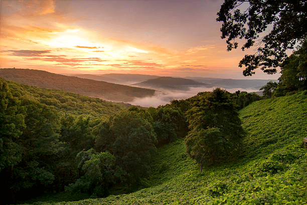 [Handbook] Study in Arkansas: Discover the State University Favored by Vietnamese Students