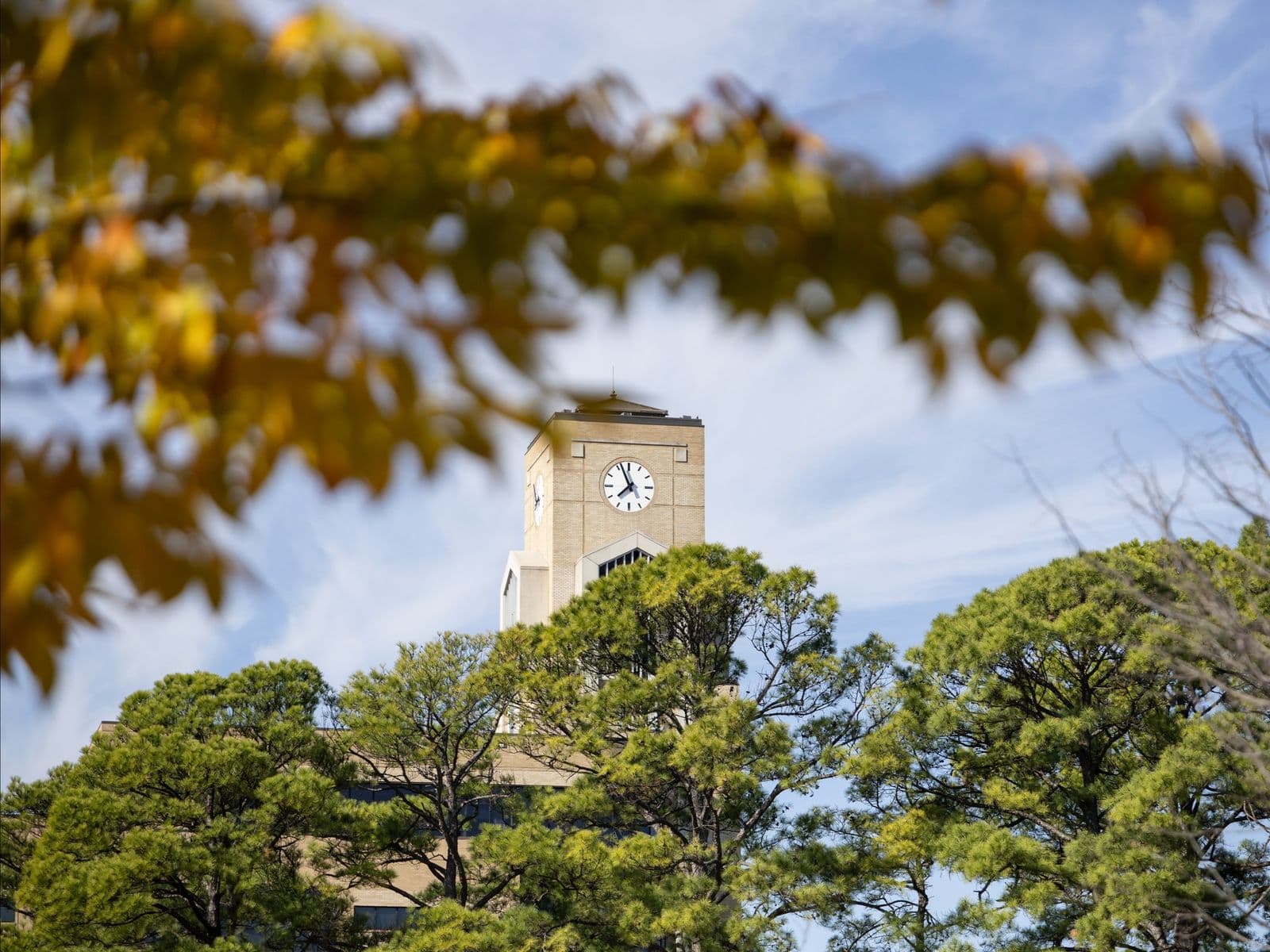 Requirements and Application Documents for Studying in the US 2026: Your Pathway to Arkansas State University (A-State)