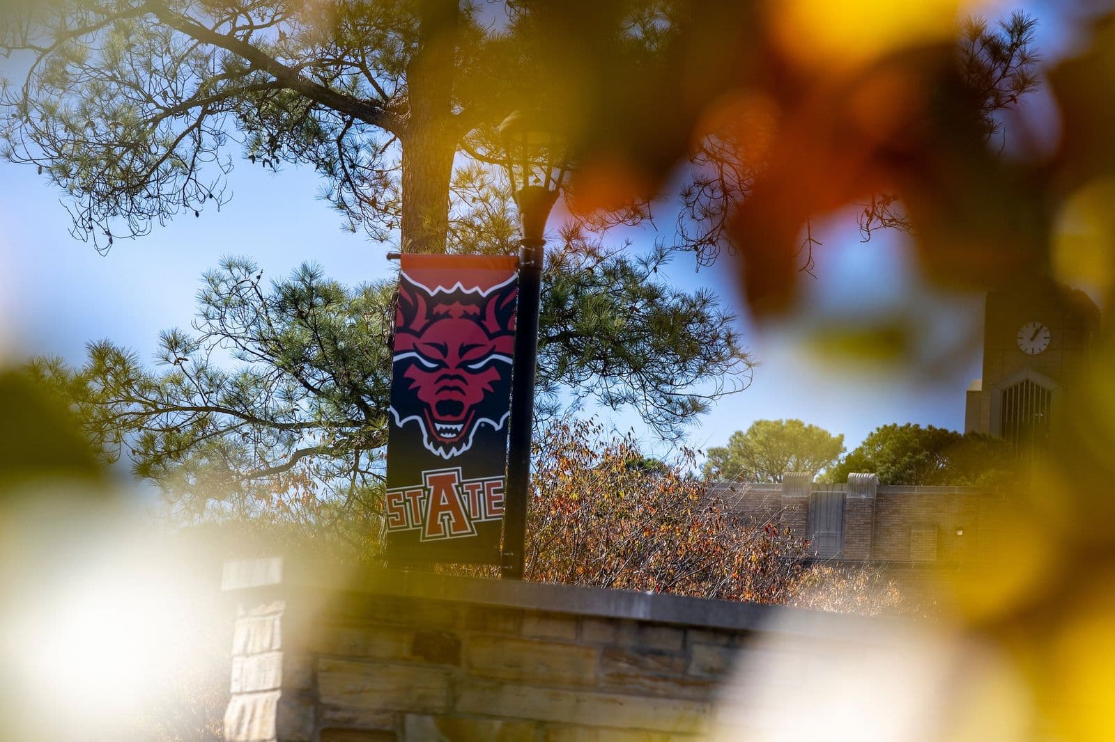 10 “Hot” Majors for Studying in the US – Program Suggestions at Arkansas State University (A-State)
