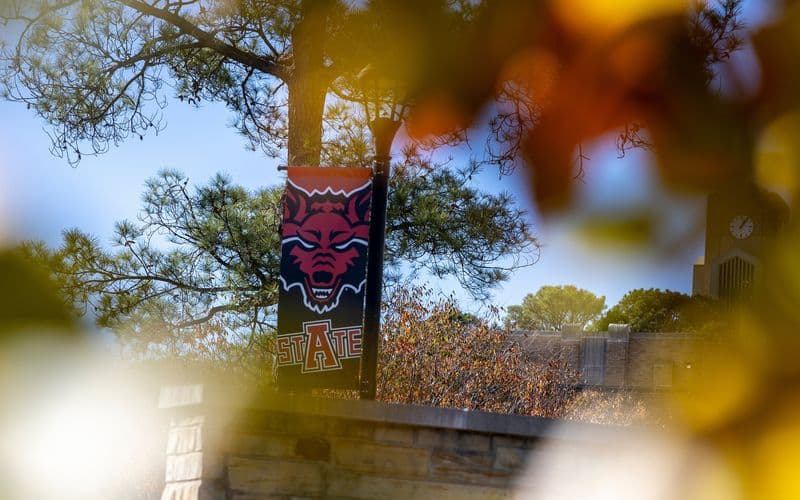 10 “Hot” Majors for Studying in the US – Program Suggestions at Arkansas State University (A-State)