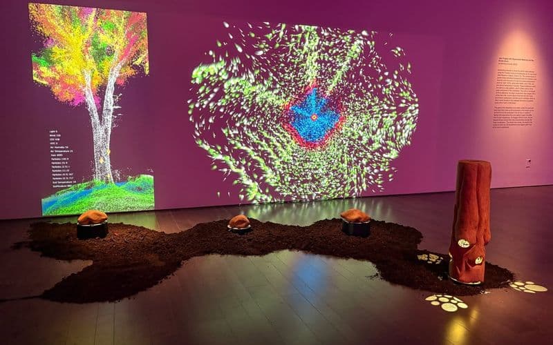 Jane Tingley with Hrysovalanti Maheras and Ilze Briede [Kavi], “(en)tending towards”, in the Wingate Gallery: two large projections built from forest sensor data, laid over a bed of soil