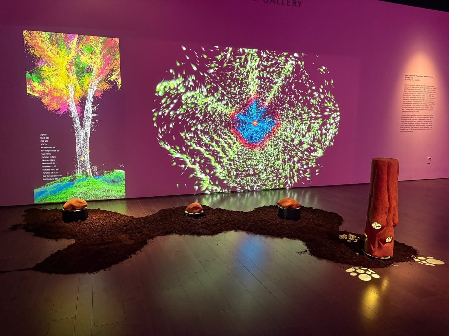 Jane Tingley with Hrysovalanti Maheras and Ilze Briede [Kavi], “(en)tending towards”, in the Wingate Gallery: two large projections built from forest sensor data, laid over a bed of soil