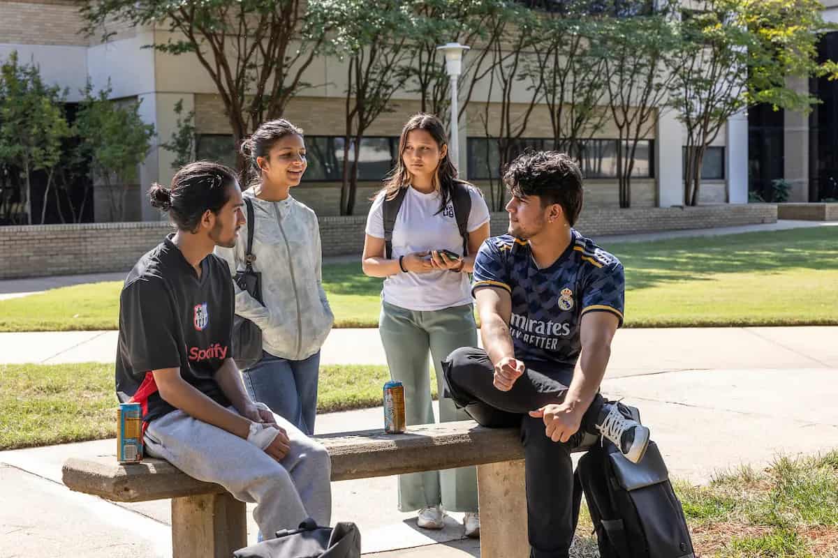 Students talking on a campus bench in autumn sunlight