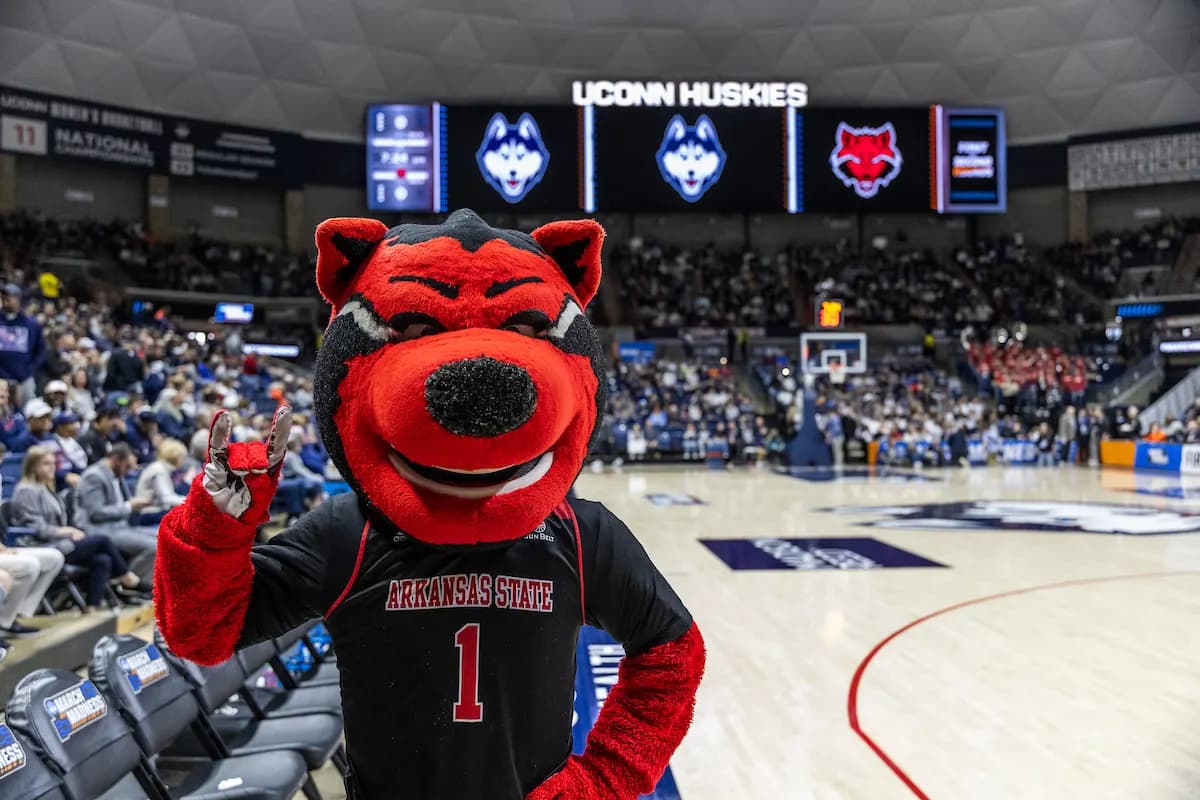 The A-State mascot cheering in the crowd at a basketball game