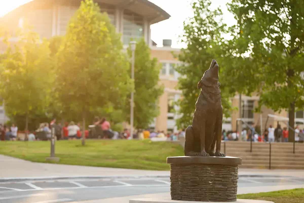 Red Wolf statue on the A-State campus at sunset