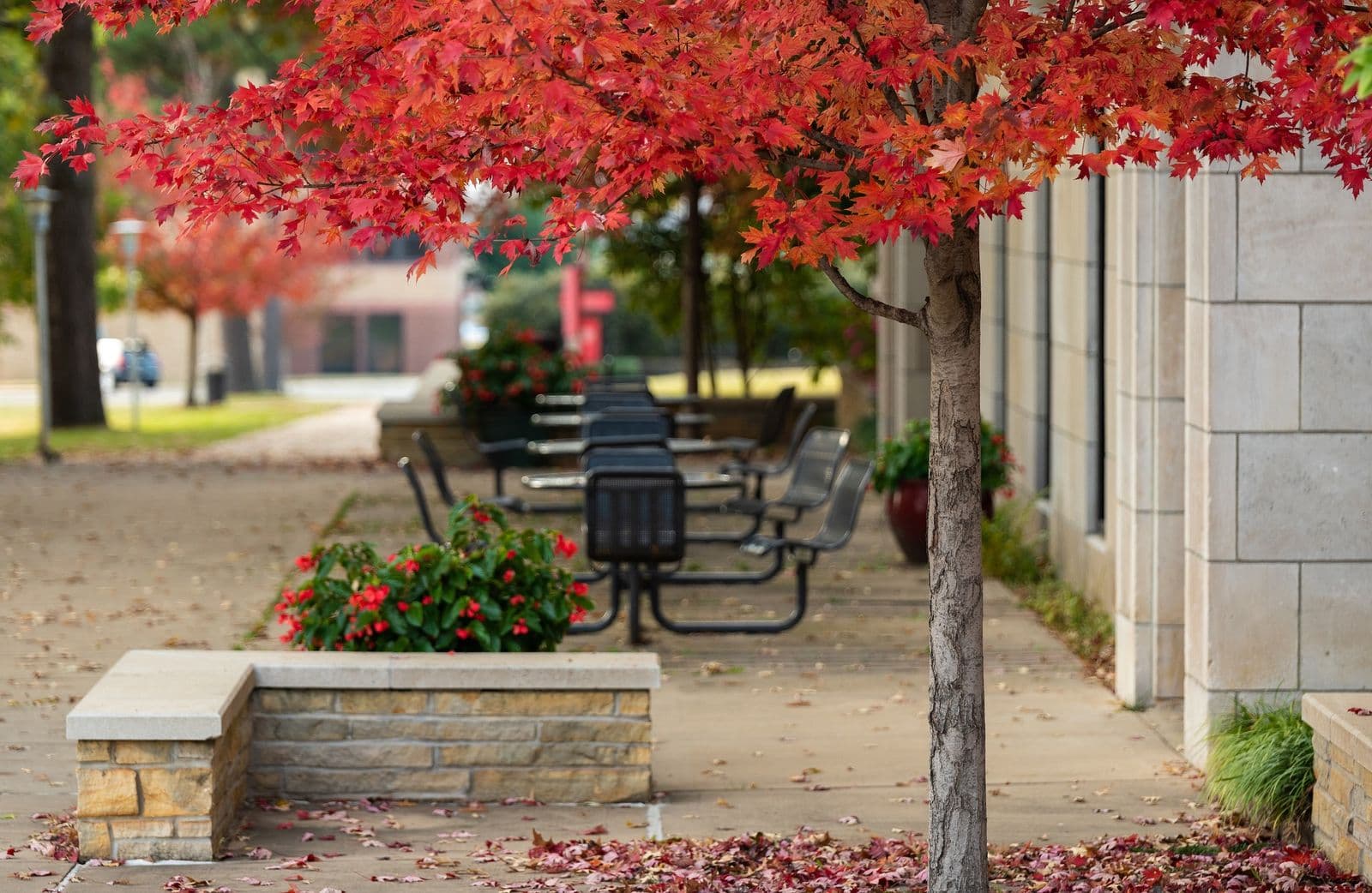 Announcement Regarding Thanksgiving Break
