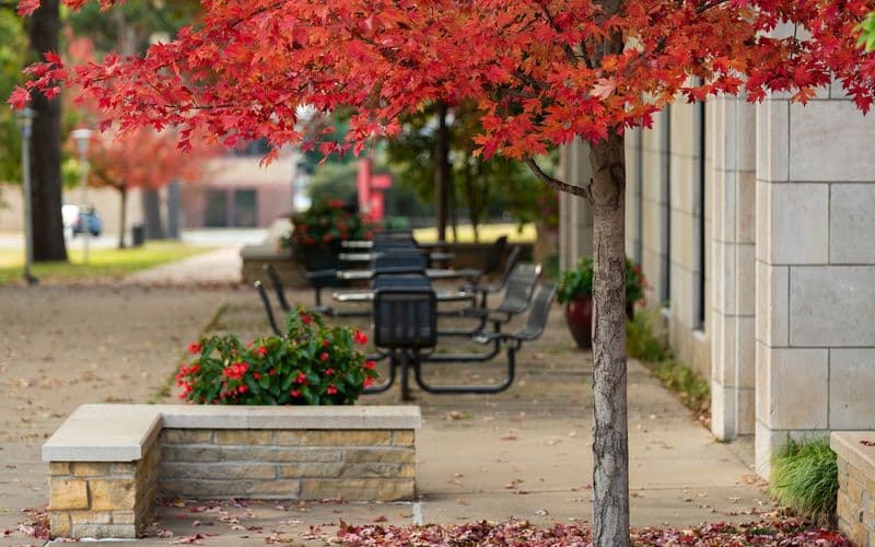 Announcement Regarding Thanksgiving Break