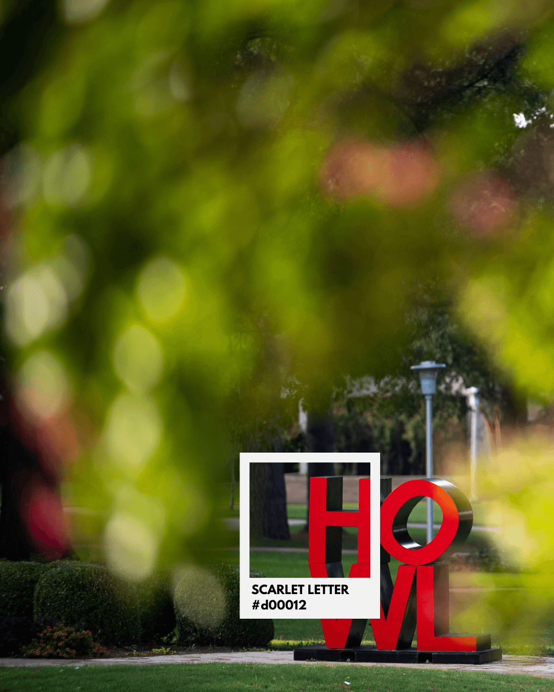 Colors of A-State